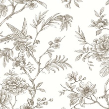 Jessamine Taupe Floral Trail Wallpaper