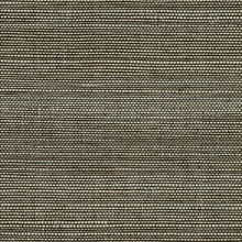 Jiao Brown Grasscloth Wallpaper