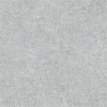 Joaquin Dark Grey Faux Cement Wallpaper