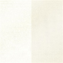 Kashi Silver Grasscloth