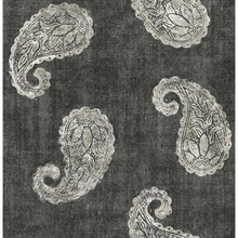 Kashmir Charcoal Paisley