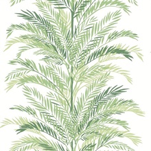 Keana Palm Botanical Paradise Green Peel and Stick Wallpaper