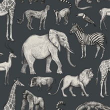 Kenji Navy Safarin African Animals Wallpaper