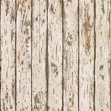 Khaki Harley Khaki Weathered Wood Wallpaper