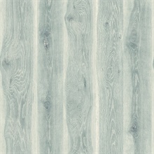 Kieri Wood Blue Frost Wallpaper