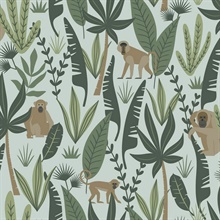 Kiki Green Jungle Monkeys Wallpaper