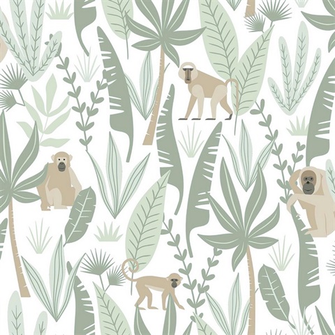 Kiki Light Green Jungle Monkeys Wallpaper