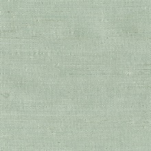 Kimi Light Green Grasscloth