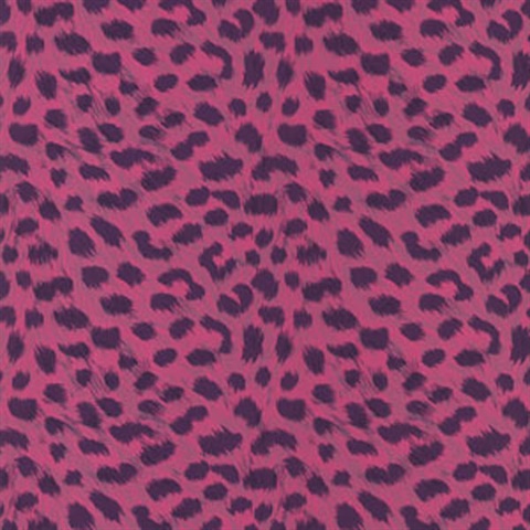 Kitty Purry Pink Leopard Print Wallpaper