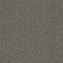 Klamath Grey Asphalt