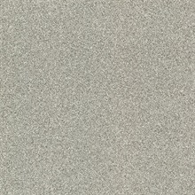 Klamath Light Grey Asphalt