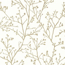Koura Cream Budding Tree Branches Wallpaper