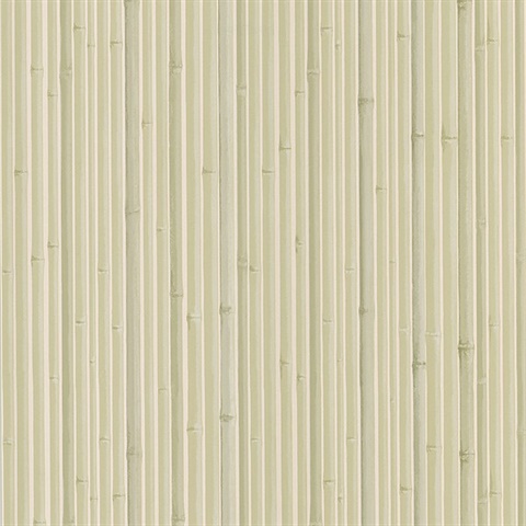 Kyoto Light Grey Bamboo