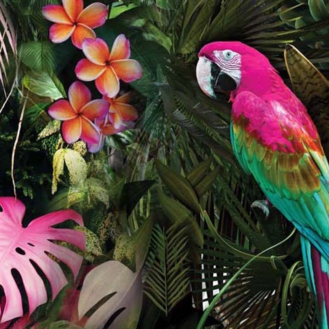 Hummingbird & Tropical Floral Wallpaper