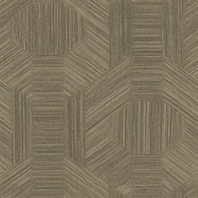 Ladon Brown Abstract Metallic Textured Hexagons Wallpaper
