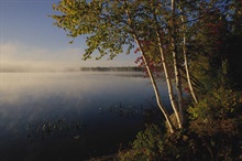 Lake Wall Mural