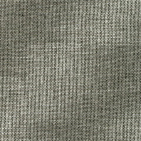 Lakewood Olive Grove Commercial Wallpaper