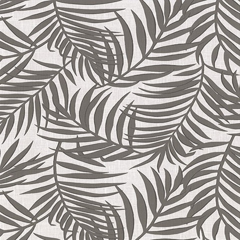 Lanai Grey Fronds Tropical Leaf Wallpaper