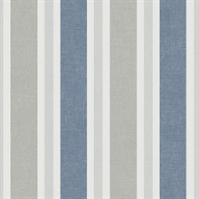 Large 2 1/2 In Vertical Stripe