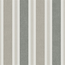 Large 2 1/2 In Vertical Stripe