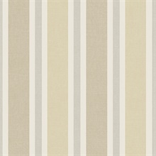 Large 2 1/2 In Vertical Stripe