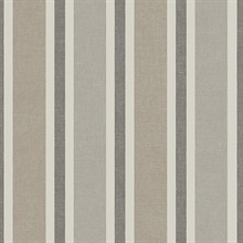 Large 2 1/2 In Vertical Stripe