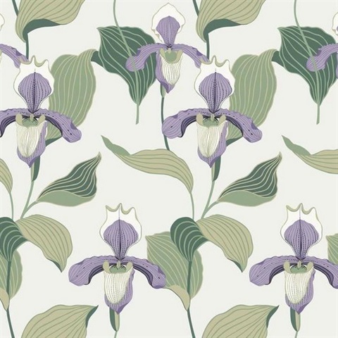Lavender & Green Lady Slipper Floral Wallpaper
