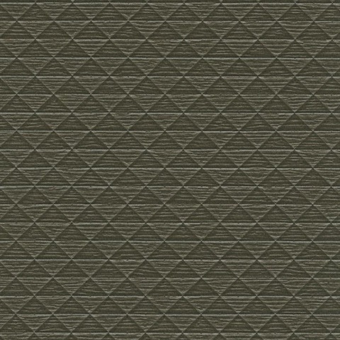 Le Muse The Inventor