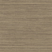 Le Sisal Bark