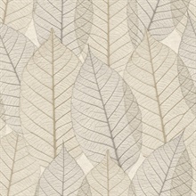Leaf Lace Cream Wallpaper