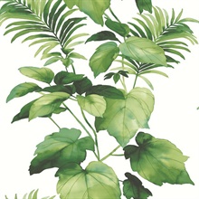 Leaf Stripe Botanical Summer Fern Peel and Stick Wallpaper