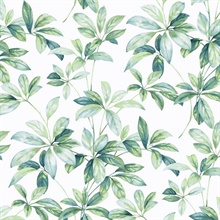 Leaf Trail Botanical Seaglass Peel and Stick Wallpaper