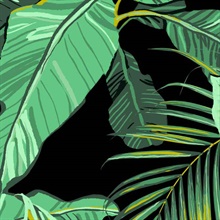 Black Tropical Leaf Wallpaper