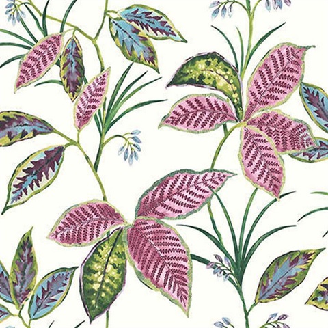 Leaves