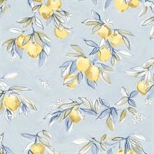 Lemonade Light Blue Citrus Fruit Wallpaper