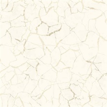 Lenox Hill Crackle