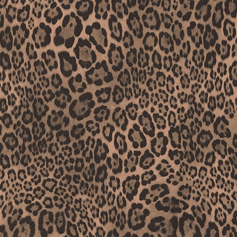 Leopard Skin