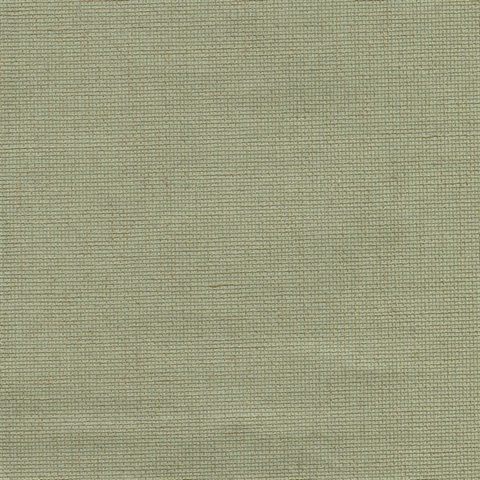 Leyte Sea Green Grasscloth