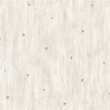 Liberty Grey Heritage Star Toss Wallpaper