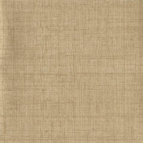 Library 54" Wallpaper