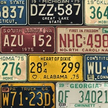 License Plates Novelty Mutlicolored Peel and Stick Wallpaper