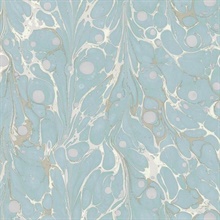 Light Blue Marbled Endpaper Wallpaper