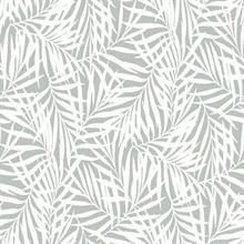 Light Green &amp; White Oahu Fronds Wallpaper