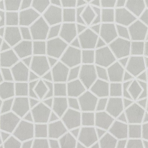 Light Grey & Cream Sculptural Web Trellis Wallpaper
