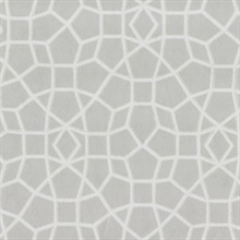 Light Grey & Cream Sculptural Web Trellis Wallpaper