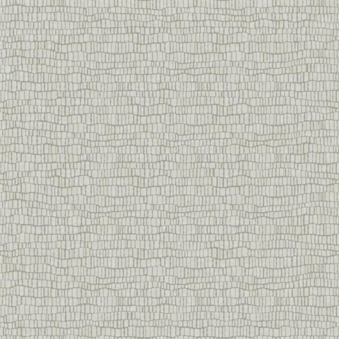 Light Grey Skin Wallpaper