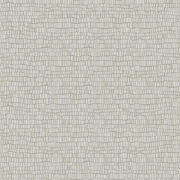 Y6230401 Wallpaper | Light Grey Skin Wallpaper