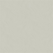 Light Grey Tempest Raised Glitter Dots Braid Wallpaper