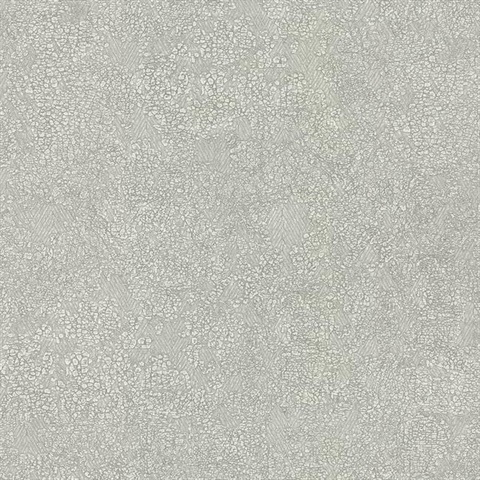 Light Grey Weathered Texture Faux Wallpaper