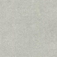 Light Grey Weathered Texture Faux Wallpaper